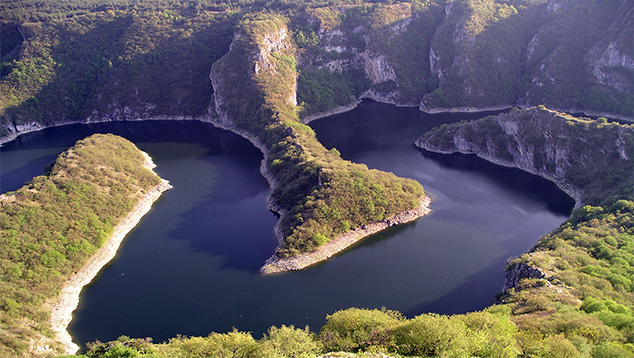 Истраживачи ИЕН обавили истраживање у Специјалном резервату природе